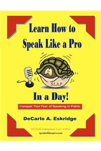 Learn How to Speak Like a Pro in a Day