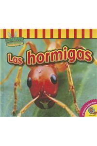 Las Hormigas