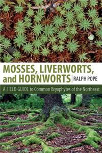 Mosses, Liverworts, and Hornworts