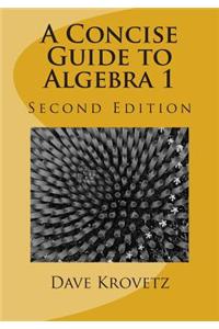 A Concise Guide to Algebra 1