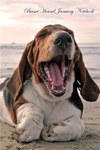 Basset Hound January Notebook Basset Hound Record, Log, Diary, Special Memories, To Do List, Academic Notepad, Scrapbook & More
