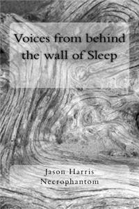 Voices from behind the wall of Sleep