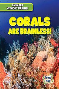 Corals Are Brainless!