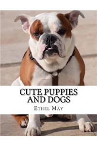 Cute Puppies and Dogs