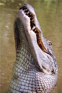 Alligator Portrait Journal