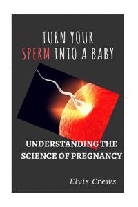 Sex improves Your Sperm Ability: Understanding How to Get Her Pregnant