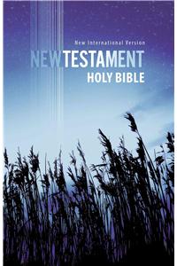 Outreach New Testament-NIV