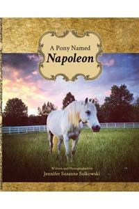 A Pony Named Napoleon