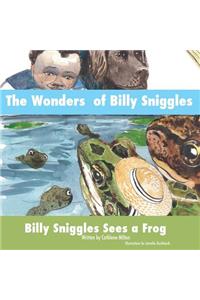 The Wonders of Billy Sniggles
