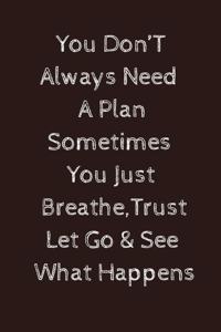 You don't need a plan sometimes you just breathe trust let go and see what happens