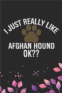 I Just Really Like Afghan Hound Ok?