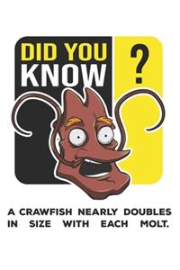 Did You Know?