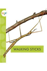 Walking Sticks