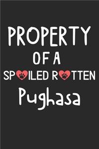 Property Of A Spoiled Rotten Pughasa