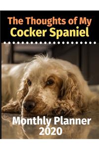 The Thoughts of My Cocker Spaniel