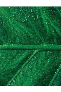Dew Leaf Sketchbook