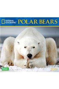 Cal 2019 National Geographic Polar Bears