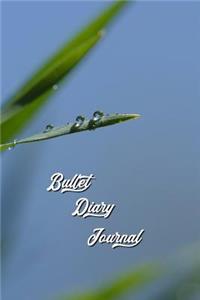 Bullet Diary Journal