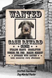 Scottish Deerhound Dog Wanted Poster
