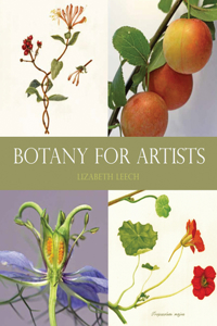 Botany for Artists