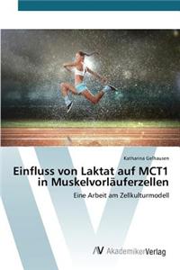 Einfluss von Laktat auf MCT1 in Muskelvorläuferzellen