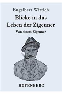 Blicke in das Leben der Zigeuner
