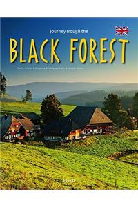 Journey Through the Black Forest