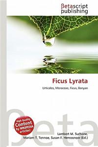 Ficus Lyrata