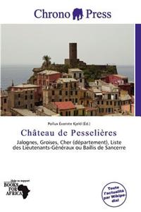 Ch Teau de Pesseli Res