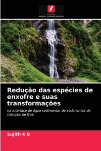 Redução das espécies de enxofre e suas transformações