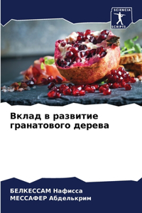 Вклад в развитие гранатового дерева