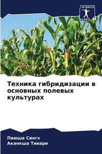 &#1058;&#1077;&#1093;&#1085;&#1080;&#1082;&#1072; &#1075;&#1080;&#1073;&#1088;&#1080;&#1076;&#1080;&#1079;&#1072;&#1094;&#1080;&#1080; &#1074; &#1086;&#1089;&#1085;&#1086;&#1074;&#1085;&#1099;&#1093; &#1087;&#1086;&#1083;&#1077;&#1074;&#1099;&#1093