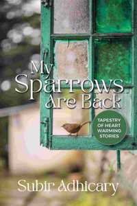My Sparrows are Back