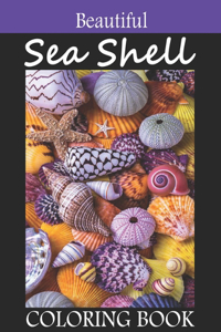 Beautiful Sea Shell Coloring book