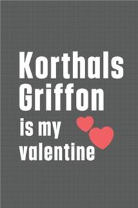 Korthals Griffon is my valentine