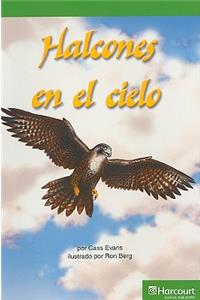 Harcourt School Publishers Villa Cuentos: Advanced Reader Grade 3 Halcones En El Cielo