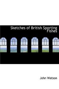 Sketches of British Sporting Fishes