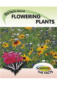 Flowering Plants