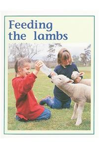 Feeding the Lambs