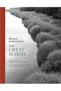 Between Land and Sea: The Great Marsh