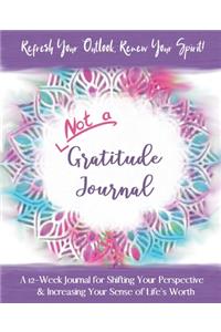 Not a Gratitude Journal