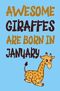 Awesome Giraffes Are Born in January