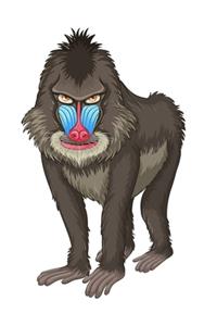 Standing Mandrill - Blank Lined Notebook