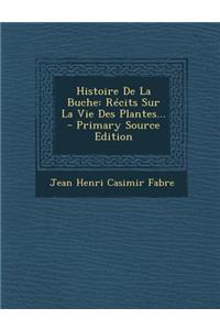 Histoire de la Buche