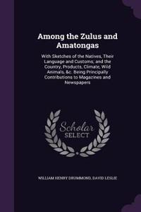 Among the Zulus and Amatongas
