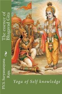 essence of Bhagavad Gita