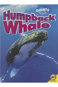 Humpback Whale