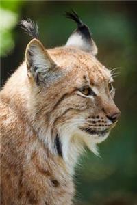 Mind Blowing Lynx Journal