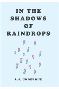 In the Shadows of Raindrops