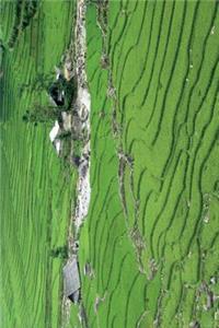 Rice Paddy in Sapa Vietnam Journal